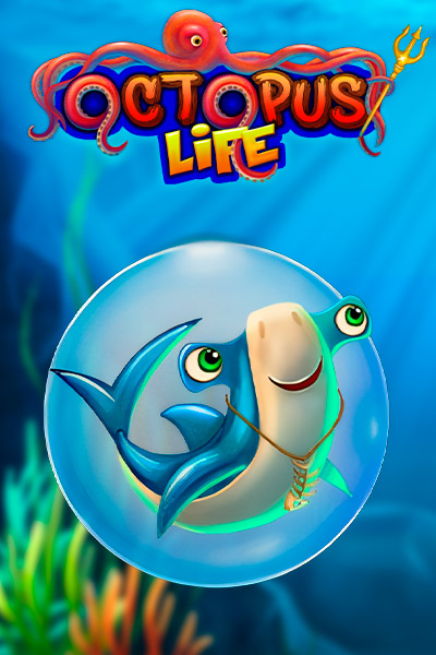Octopus Life